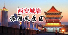 男生鸡巴插进女生下面免费看中国陕西-西安城墙旅游风景区